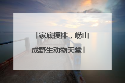 家底摸排，崂山成野生动物天堂