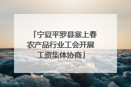 宁夏平罗县塞上春农产品行业工会开展工资集体协商