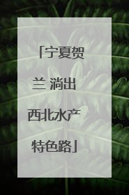 宁夏贺兰 淌出西北水产特色路