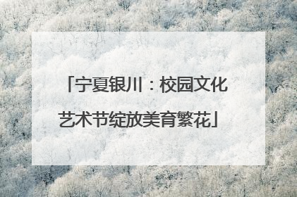 宁夏银川：校园文化艺术节绽放美育繁花