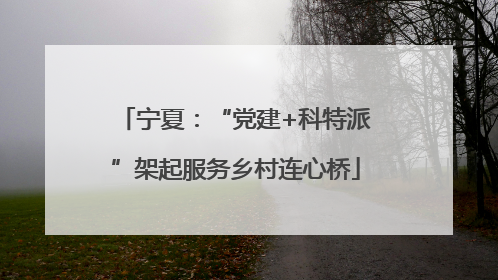 宁夏：“党建+科特派”架起服务乡村连心桥