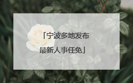 宁波多地发布最新人事任免