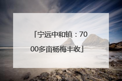 宁远中和镇：7000多亩杨梅丰收