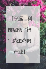 宁远：科技赋能“智”造蛋鸡鸭产业