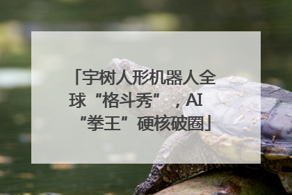 宇树人形机器人全球“格斗秀”，AI“拳王”硬核破圈