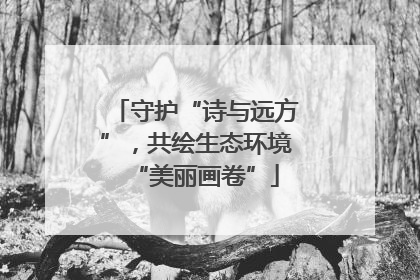 守护“诗与远方”，共绘生态环境“美丽画卷”