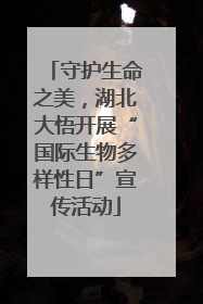 守护生命之美，湖北大悟开展“国际生物多样性日”宣传活动