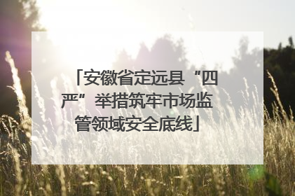 安徽省定远县“四严”举措筑牢市场监管领域安全底线