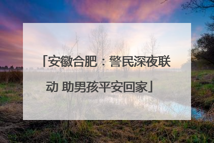 安徽合肥：警民深夜联动 助男孩平安回家