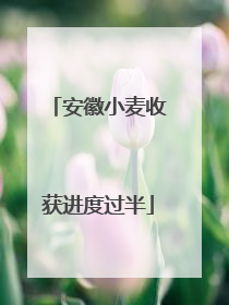 安徽小麦收获进度过半