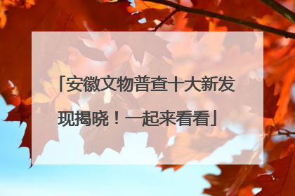 安徽文物普查十大新发现揭晓！一起来看看