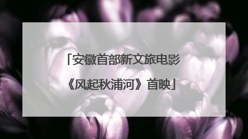 安徽首部新文旅电影《风起秋浦河》首映