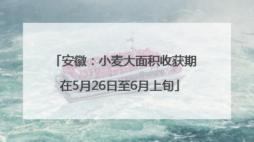 安徽：小麦大面积收获期在5月26日至6月上旬