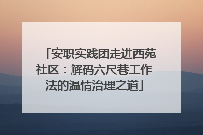 安职实践团走进西苑社区：解码六尺巷工作法的温情治理之道