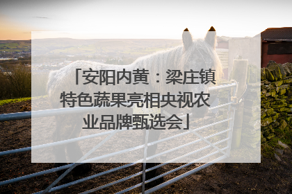 安阳内黄：梁庄镇特色蔬果亮相央视农业品牌甄选会