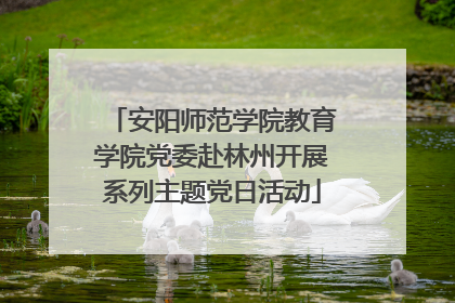 安阳师范学院教育学院党委赴林州开展系列主题党日活动