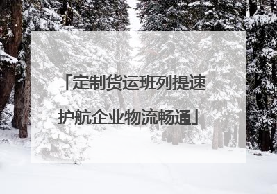 定制货运班列提速 护航企业物流畅通