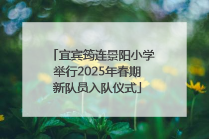 宜宾筠连景阳小学举行2025年春期新队员入队仪式