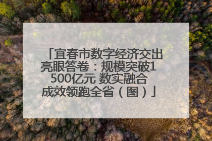 宜春市数字经济交出亮眼答卷：规模突破1500亿元 数实融合成效领跑全省（图）