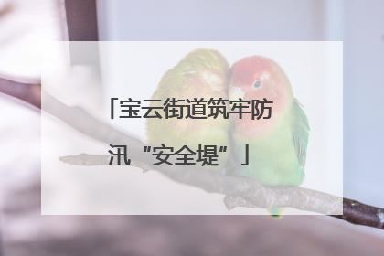 宝云街道筑牢防汛“安全堤”