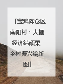 宝鸡陈仓区南阳村：大棚经济结硕果 乡村振兴绘新图