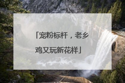 宠粉标杆，老乡鸡又玩新花样
