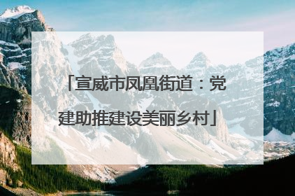 宣威市凤凰街道：党建助推建设美丽乡村
