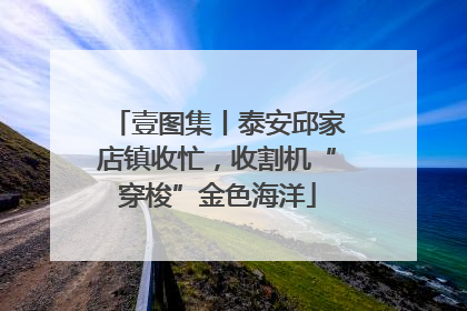 壹图集丨泰安邱家店镇收忙，收割机“穿梭”金色海洋
