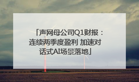 声网母公司Q1财报：连续两季度盈利 加速对话式AI场景落地