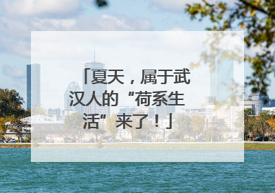 夏天，属于武汉人的“荷系生活”来了！