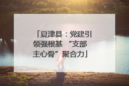 夏津县：党建引领强根基 “支部主心骨”聚合力