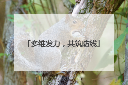 多维发力，共筑防线