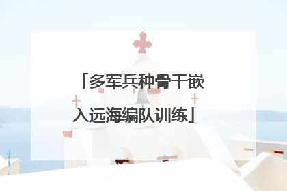 多军兵种骨干嵌入远海编队训练
