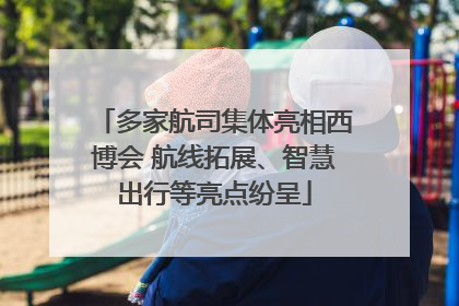 多家航司集体亮相西博会 航线拓展、智慧出行等亮点纷呈