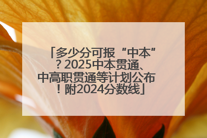 多少分可报“中本”？2025中本贯通、中高职贯通等计划公布！附2024分数线