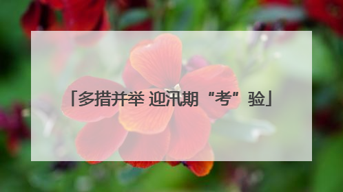 多措并举 迎汛期“考”验