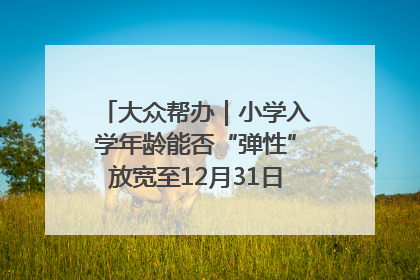 大众帮办｜小学入学年龄能否“弹性”放宽至12月31日？有地方已在探索