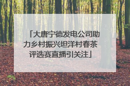 大唐宁德发电公司助力乡村振兴坦洋村春茶评选赛直播引关注
