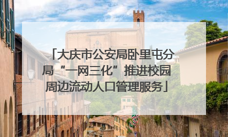 大庆市公安局卧里屯分局“一网三化”推进校园周边流动人口管理服务
