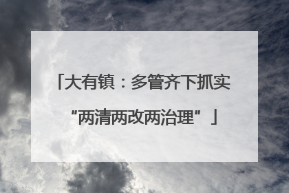 大有镇：多管齐下抓实“两清两改两治理”
