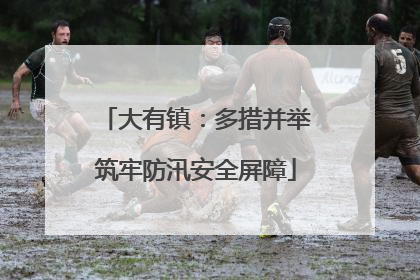 大有镇：多措并举筑牢防汛安全屏障