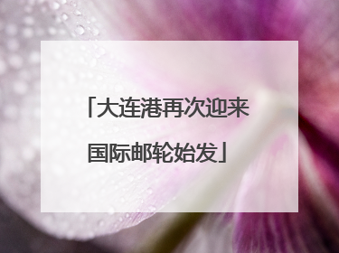 大连港再次迎来国际邮轮始发