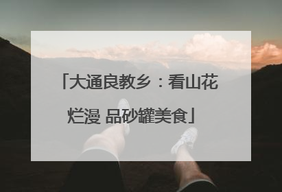 大通良教乡：看山花烂漫 品砂罐美食