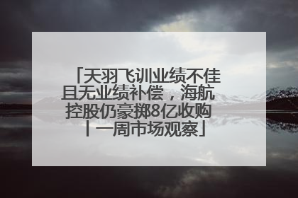 天羽飞训业绩不佳且无业绩补偿，海航控股仍豪掷8亿收购丨一周市场观察