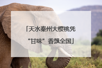 天水秦州大樱桃凭“甘味”香飘全国