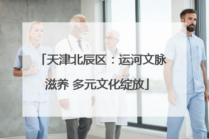 天津北辰区：运河文脉滋养 多元文化绽放