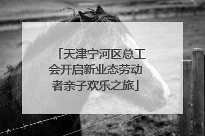 天津宁河区总工会开启新业态劳动者亲子欢乐之旅