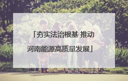 夯实法治根基 推动河南能源高质量发展