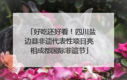 好吃还好看！四川盐边县非遗代表性项目亮相成都国际非遗节