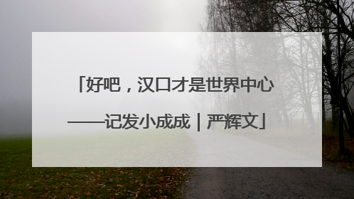 好吧，汉口才是世界中心——记发小成成｜严辉文